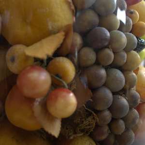 Fruit Dome by Unknown, United States 