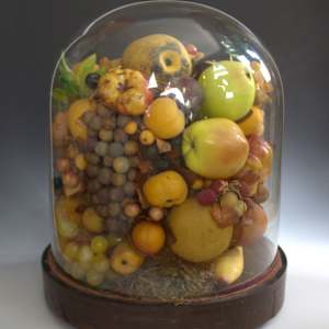 Fruit Dome by Unknown, United States 