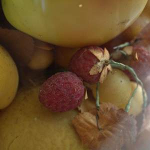 Fruit Dome by Unknown, United States 