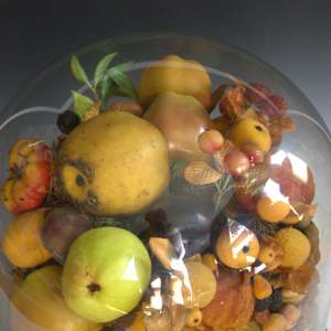 Fruit Dome by Unknown, United States 