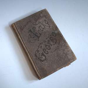 Lake George Illustrated: A Book of Today by Seneca Ray Stoddard