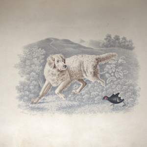 Scrapbook by Various, Michel Lasne, Johann Georg Wille, Anne Gliddon, Frederick John Meyer, William Warman, Adolphus George Edye, Alfred Crowquill, Adam East, John Padgett, James Scovell, Lambert Hastenrath, Thomas Woodward, David Roberts, Henry Mangles Denham 