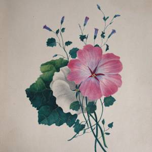 Scrapbook by Various, Michel Lasne, Johann Georg Wille, Anne Gliddon, Frederick John Meyer, William Warman, Adolphus George Edye, Alfred Crowquill, Adam East, John Padgett, James Scovell, Lambert Hastenrath, Thomas Woodward, David Roberts, Henry Mangles Denham 