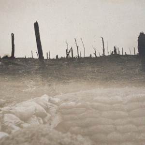 German Postcards by Unknown, Germany 