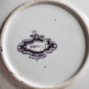 Cup and Saucer by Davenport 
