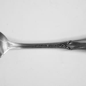 Salt Spoon by R. Wallace & Sons 
