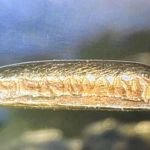 Brooch by Unknown, Germany, Image 1.