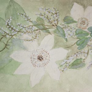 Watercolors by Unknown, United States 