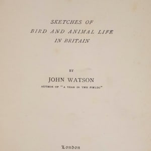 Sylvan Folk: Sketches of Bird and Animal Life in Britain by John Watson 
