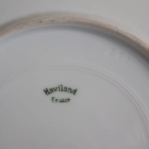 Plate by Theodore Haviland 