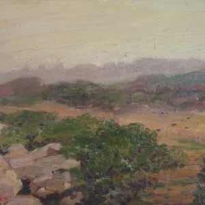 Rugged Path by Laura Miller