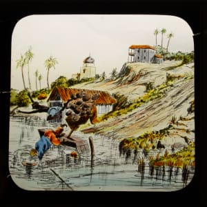 Lantern Slides (Set of Four) by Gould W. Hart 