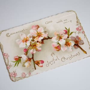 Christmas Card by Ernest Nister