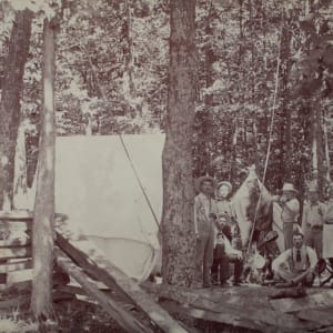 In the Woods by Obadiah Kelly