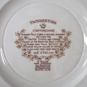 Niagara Falls Plate by Swinnertons, Ltd. 