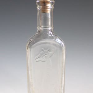 Bottle by Tonsilene