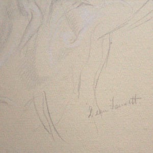 Hairdressing by William Dean Fausett 