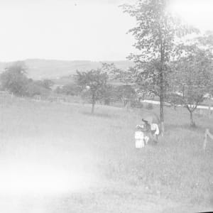 Glass Plate Negatives by F.H. Case 