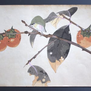 Watercolors (Set of Five) by Unknown, Japan 