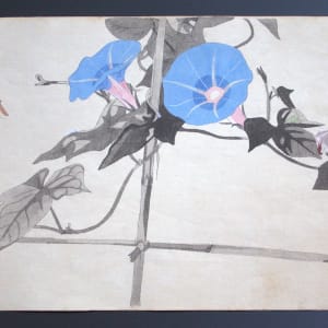 Watercolors (Set of Five) by Unknown, Japan 