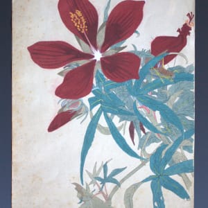 Watercolors (Set of Five) by Unknown, Japan 