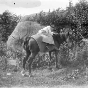 Glass Plate Negatives by Unknown, United States 