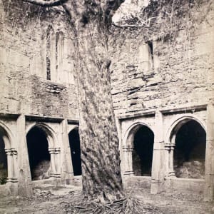 Muckross Abbey, Killarney by William Mervyn Lawrence