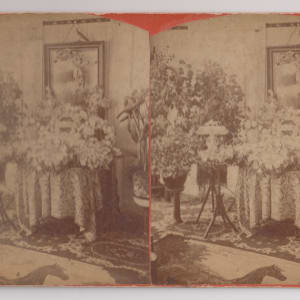 Stereoview by Frank Lawrence