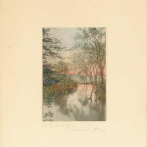 In Tender Leaf by Wallace Nutting