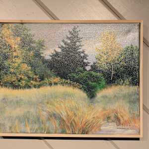 Pathway In A Field by Douglas H Caves Sr 