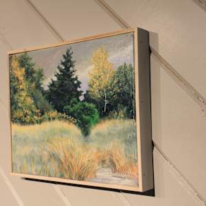 Pathway In A Field by Douglas H Caves Sr 