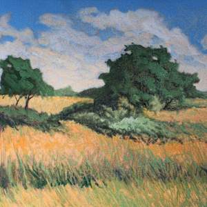 A Fleeting Moment by Douglas H Caves Sr