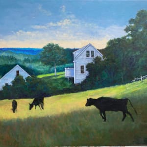 Black Cows in the Afternoon by Douglas H Caves Sr