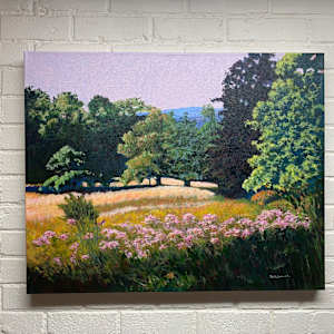 Dance of Pink in a Lush Summer Field Version 01 by Douglas H Caves Sr 