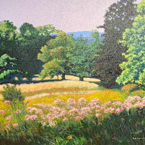 Dance of Pink in a Lush Summer Field Version 01 by Douglas H Caves Sr