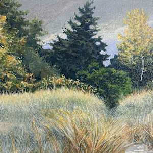 Pathway In A Field by Douglas H Caves Sr