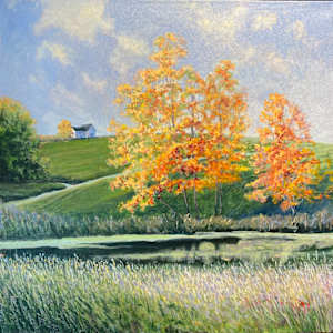 Trees in Autumn by Douglas H Caves Sr