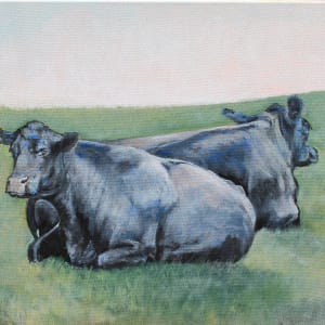 Two Cows Lazing by Douglas H Caves Sr