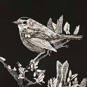 Wren by Carol M Ross