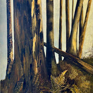 “Catching Light Above the Bracken” by Carol M Ross