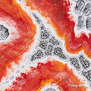 24024 - Red Tide 1 by Sandy Miller, Image 2.