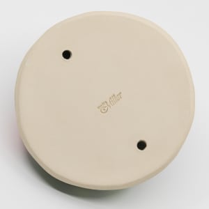 21099  Pod - Wall Art by Sandy Miller  Image: Back View