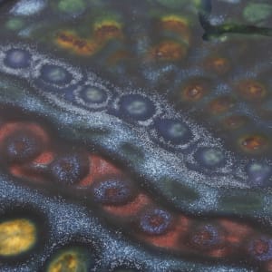 21131 - 8.5" Round Beveled Plate by Sandy Miller  Image: Detail view