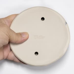 21142 - Pod Wall Art by Sandy Miller  Image: Back