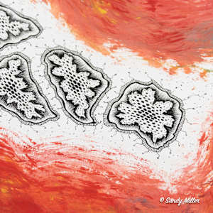 24025 - Red Tide 2 by Sandy Miller, Image 3.