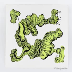 24009 - Lime Freeform 3 by Sandy Miller, Image 3.