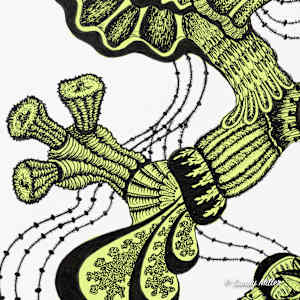 24007 - Lime Freeform 1 by Sandy Miller, Image 4.