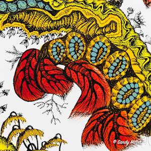 24014 - Vibrant Fanfare 2 by Sandy Miller, Image 5.