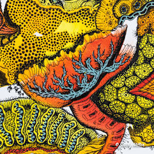 24015 - Vibrant Fanfare 3 by Sandy Miller, Image 3.