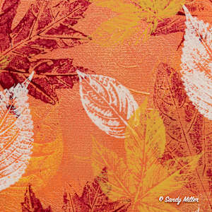 24046  Falling by Sandy Miller 